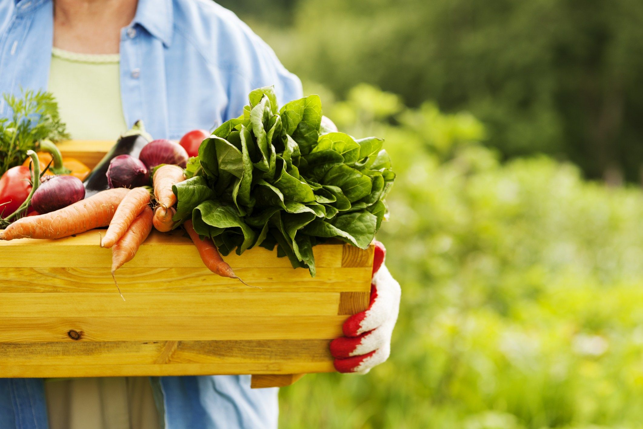 Цена фермерских овощей. Сельское хозяйство овощи. Овощи в ящике. Экологически чистая пища. Фермерские овощи и фрукты.