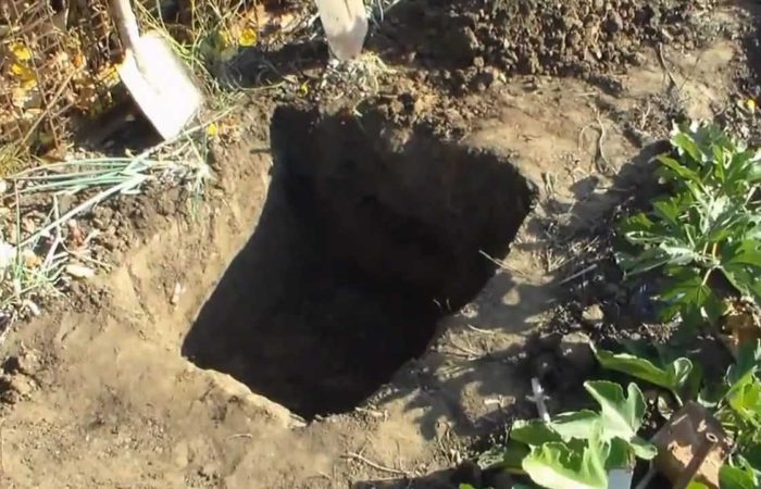 Выкопанная яма в грунте для посадки