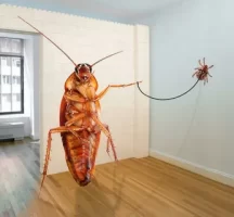 При помощи чего можно избавиться от тараканов навсегда