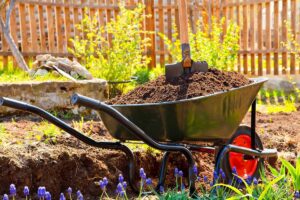 Как правильно выбрать удобрение для вашего сада и огорода: советы от профессионалов