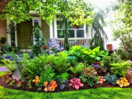 Украшение сада: подбираем гармоничные композиции из уличных растений для яркого оформления участка